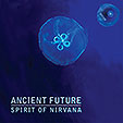 Spirit of Nirvana Cover Art